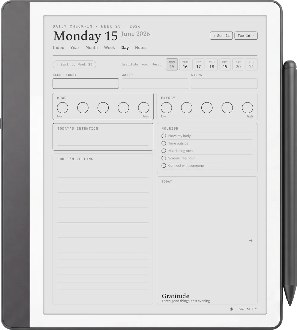 The Planner The Daily Check-in