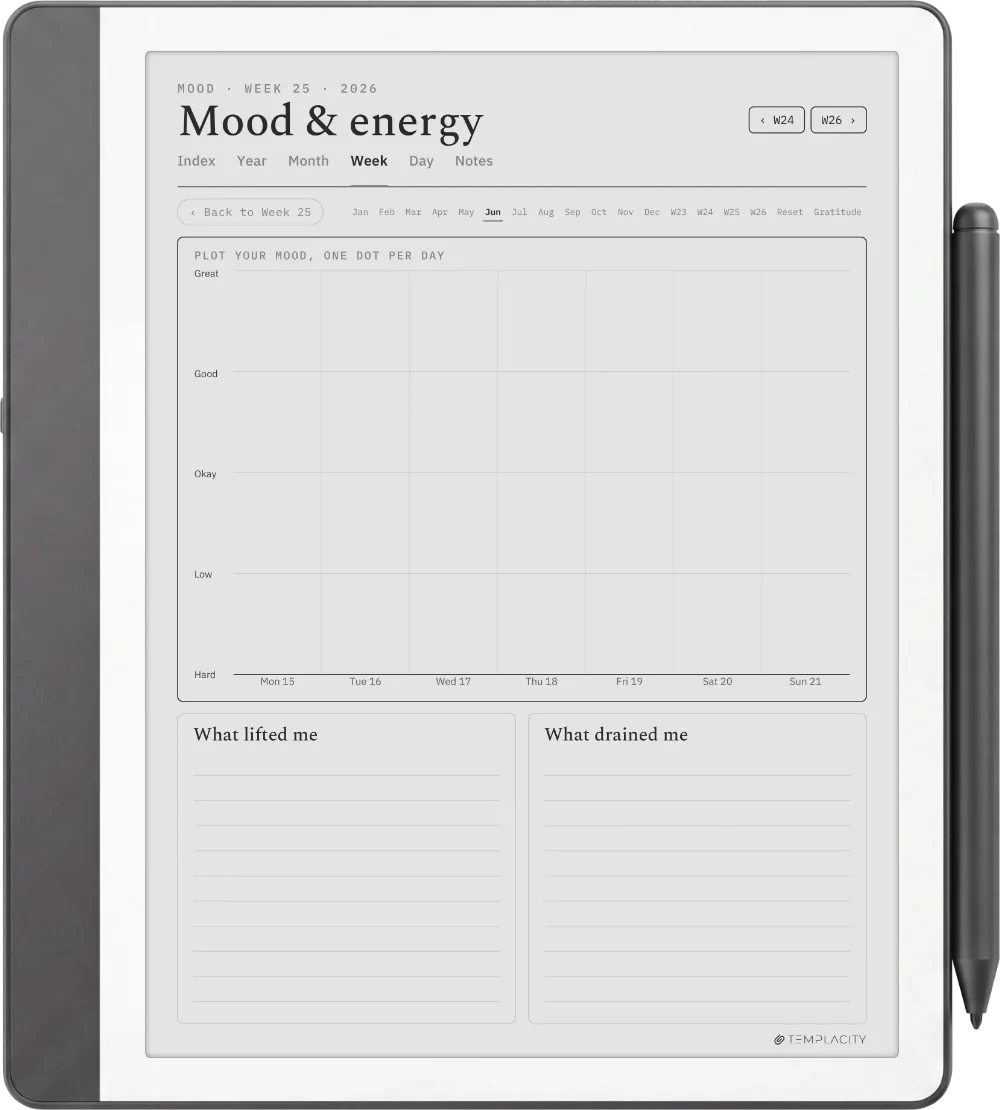 The Planner · Wellness Kindle Scribe page 2