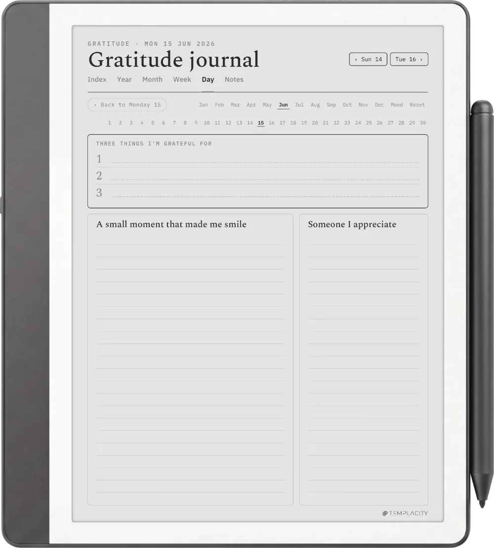 The Planner · Wellness Kindle Scribe page 4