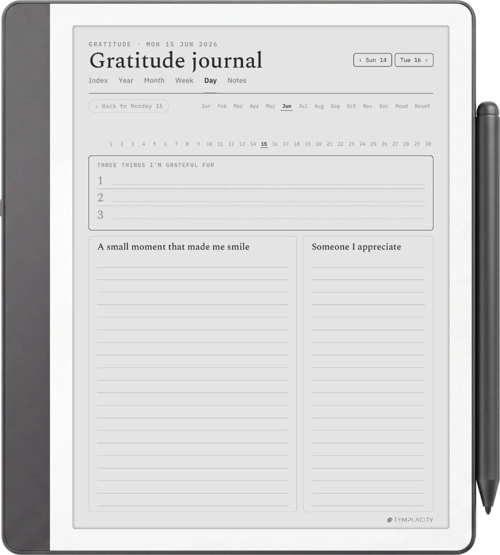 The Planner · Wellness Kindle Scribe page 4