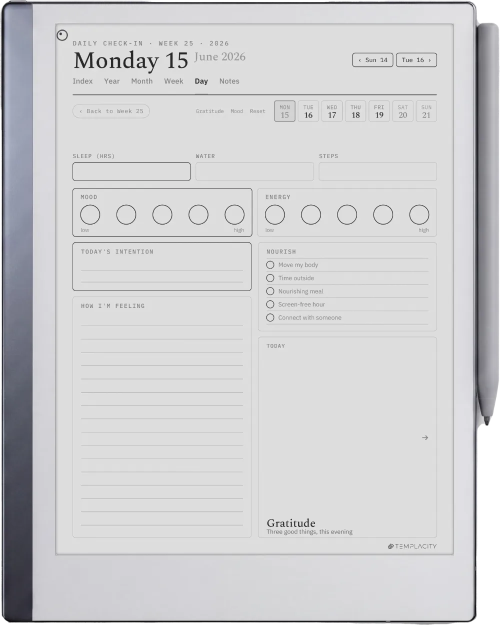 The Planner The Daily Check-in