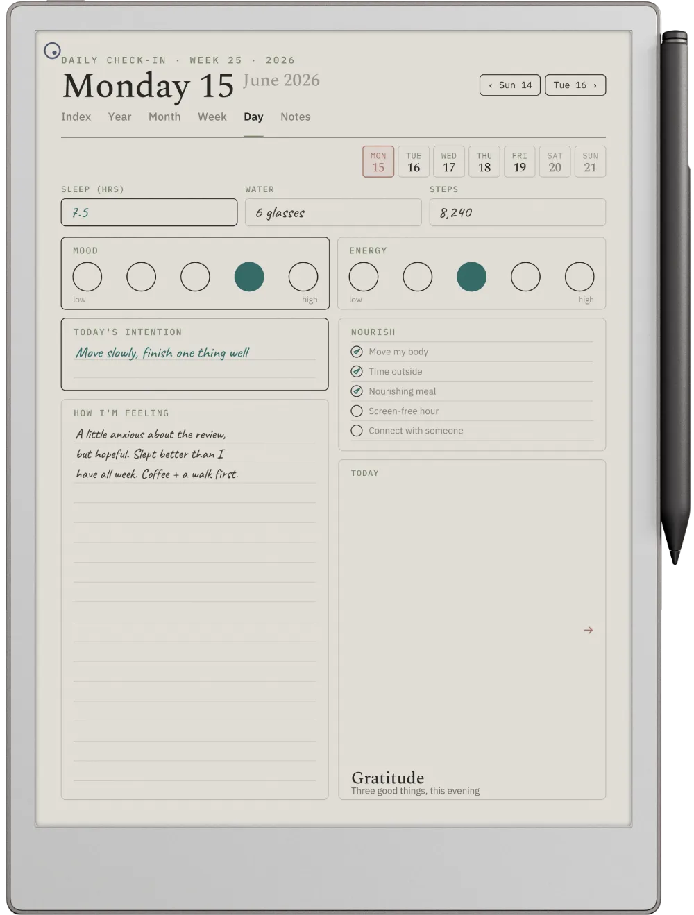 Digital Wellness Planner