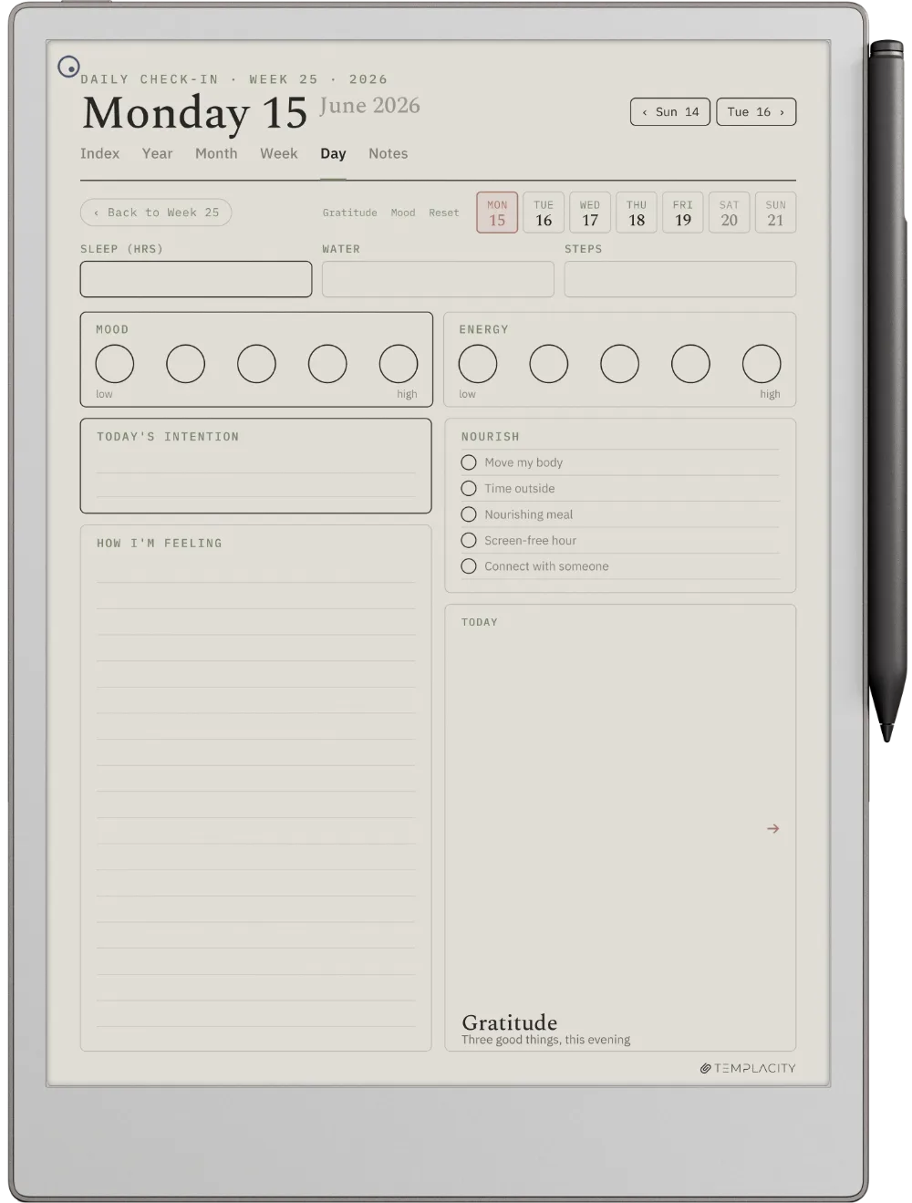 The Planner The Daily Check-in