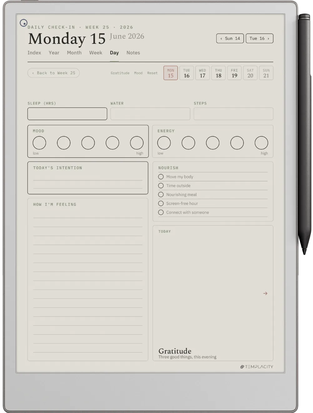 The Planner The Daily Check-in
