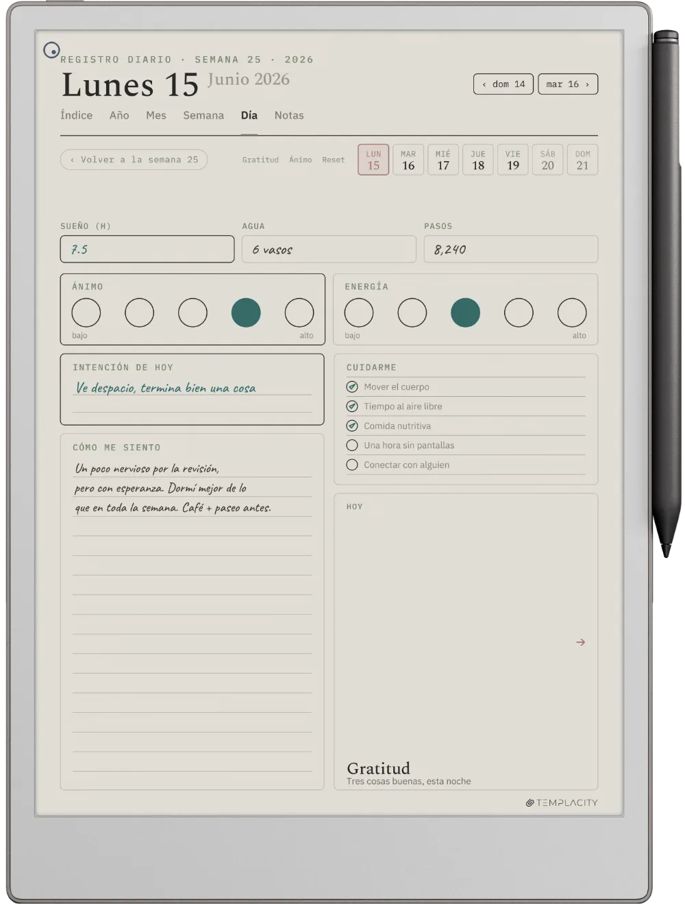The Planner en el reMarkable Paper Pro