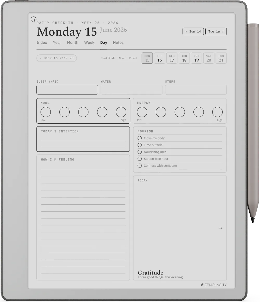 The Planner The Daily Check-in