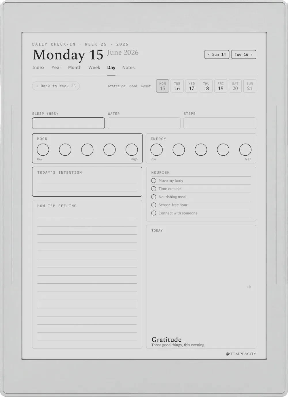 The Planner The Daily Check-in