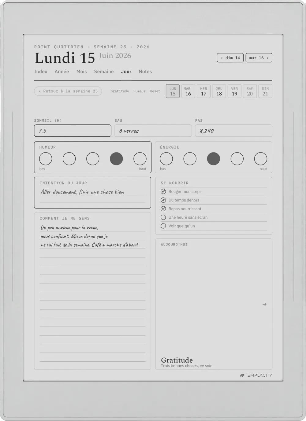 Le Planner sur la Supernote Nomad
