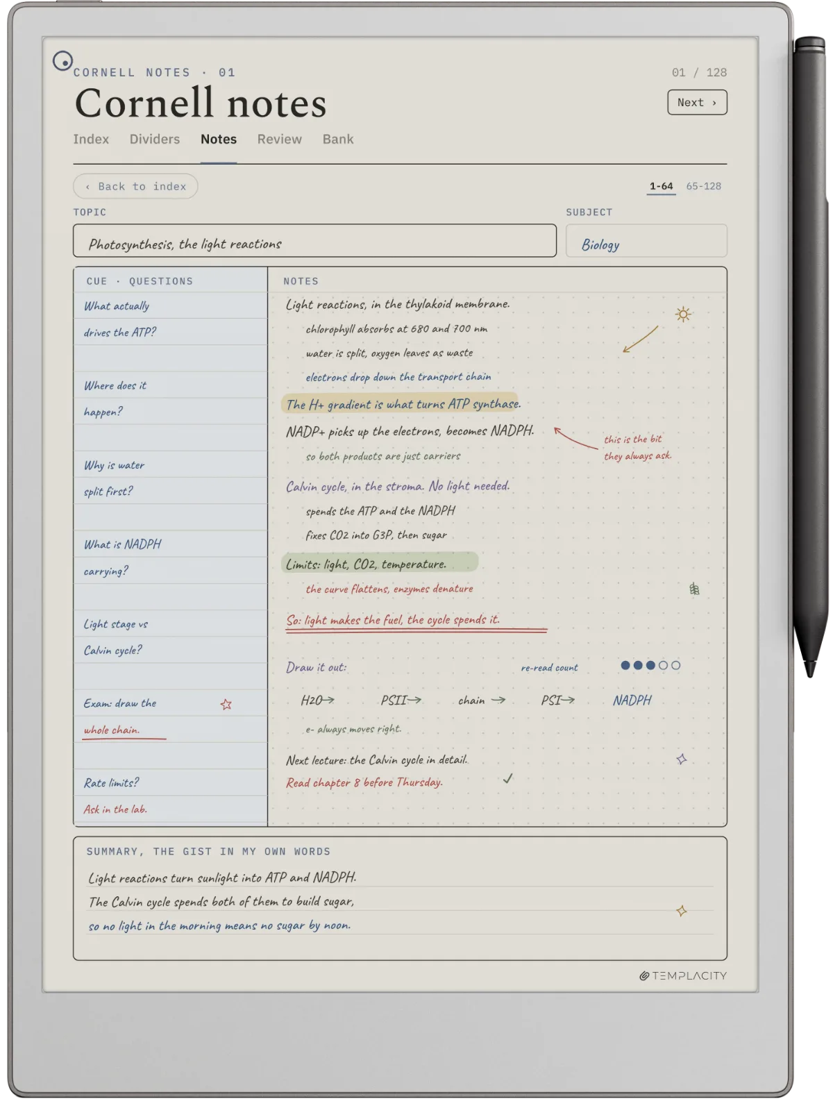 Cornell notes page on a reMarkable Paper Pro, showing the cue column, notes field and summary strip