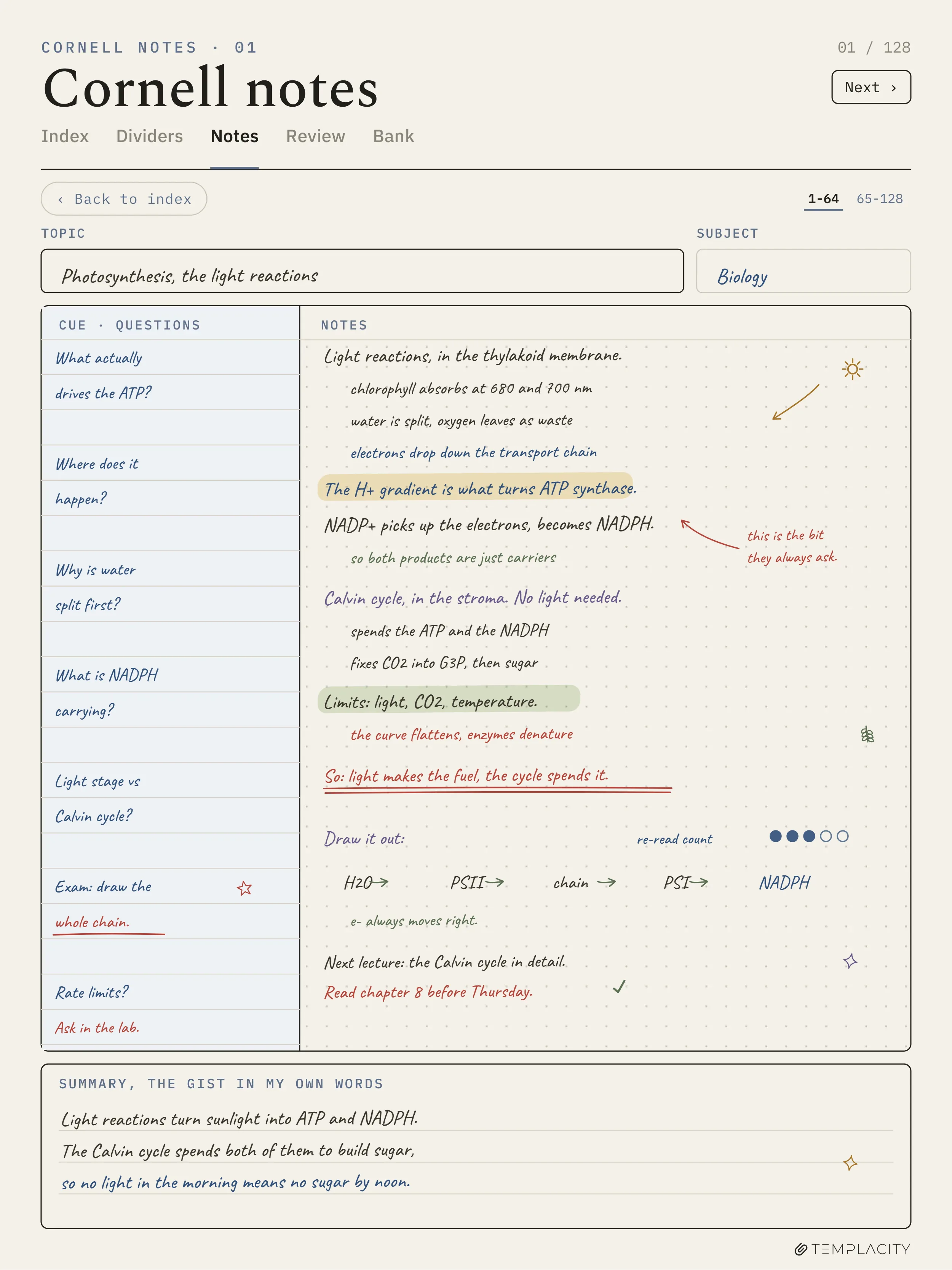 A filled Cornell notes page: cue column, notes field, and a summary strip at the foot