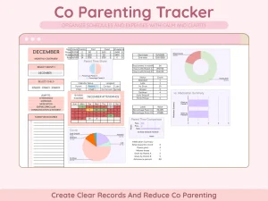 Co Parenting Template for Schedules Time Tracking and Expenses