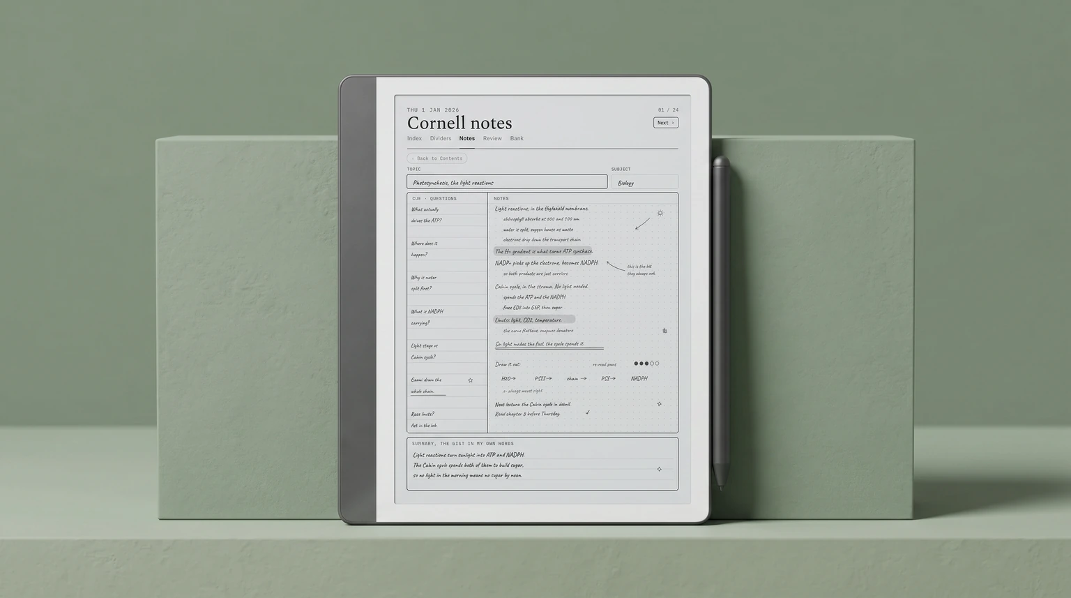 A Kindle Scribe showing a filled Cornell notes template page
