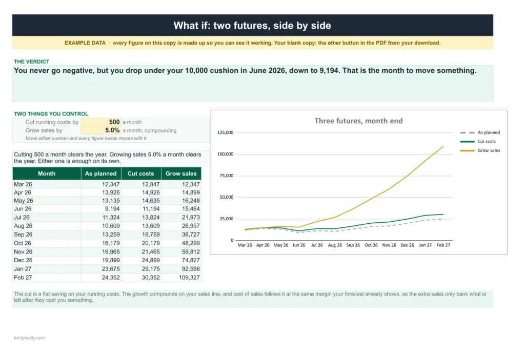 Cash Flow Forecast, das Tabellenblatt „What If“