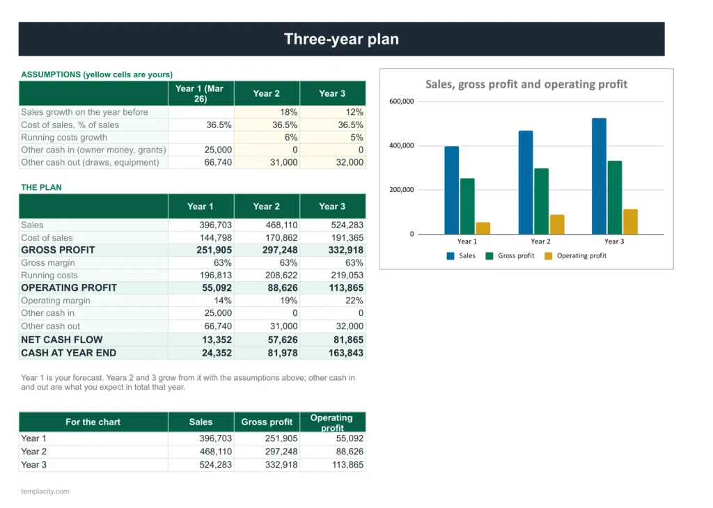 Cash Flow Forecast, der Dreijahresplan