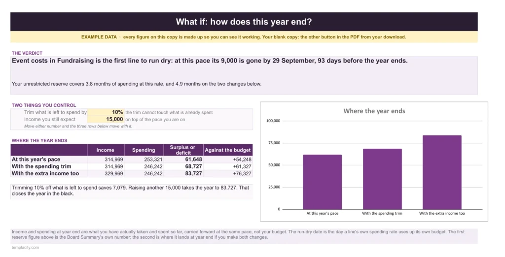 Nonprofit Budget & Grant Tracker, the What If tab