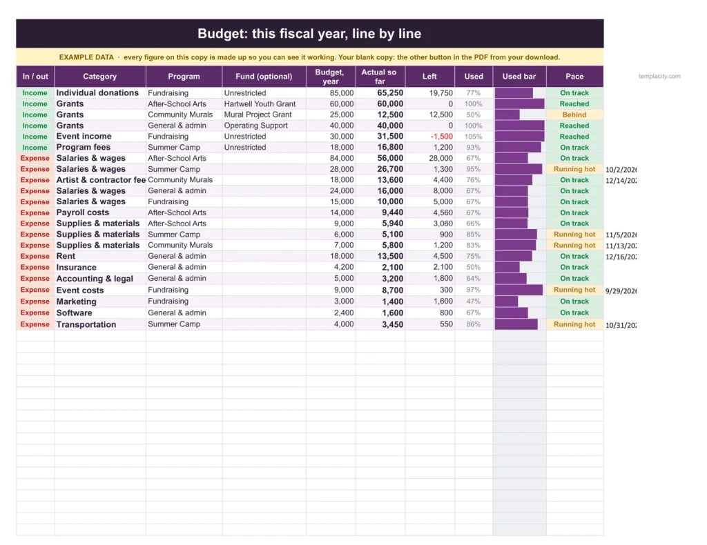 Nonprofit Budget & Grant Tracker, The budget