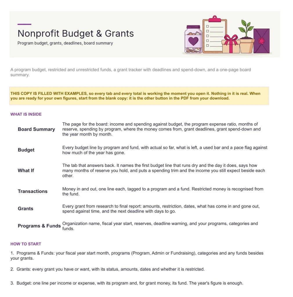 Nonprofit Budget & Grant Tracker, Start here